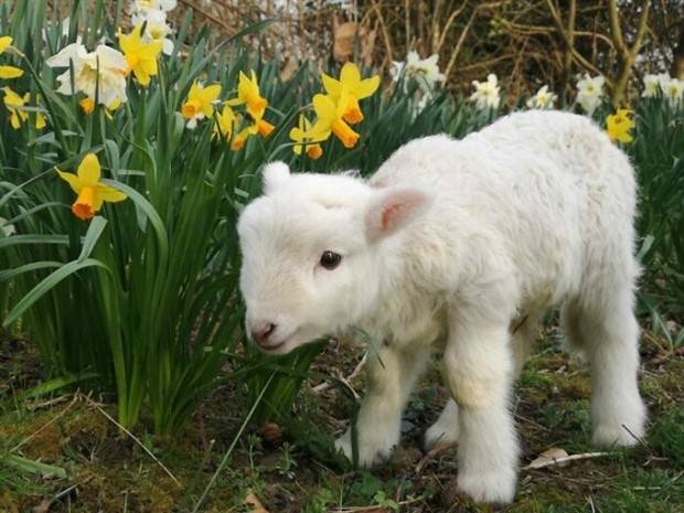 Meanwhile in the UK (28 photos)