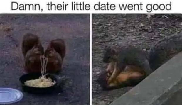 Funny Pics And Memes To Make You Laugh #62 (34 photos)