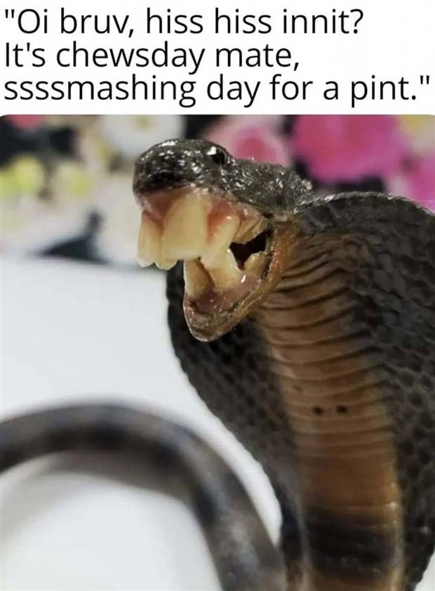 Funny Pics And Memes To Make You Laugh #62 (34 photos)