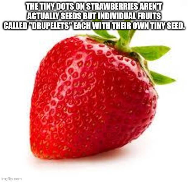 It’s Time for Some Cool and Interesting Facts #340 (43 photos)