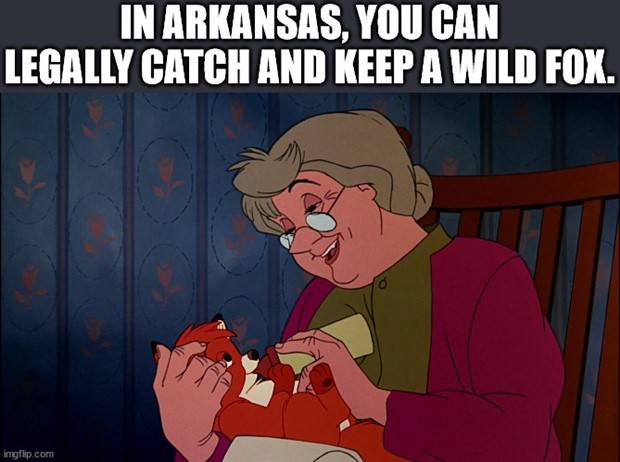 It’s Time for Some Cool and Interesting Facts #340 (43 photos)