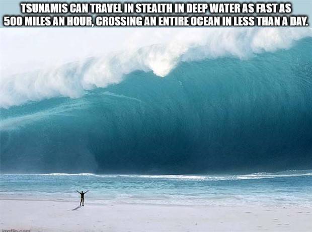 It’s Time for Some Cool and Interesting Facts #340 (43 photos)