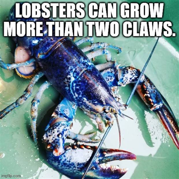 It’s Time for Some Cool and Interesting Facts #340 (43 photos)