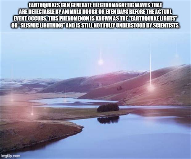 It’s Time for Some Cool and Interesting Facts #340 (43 photos)