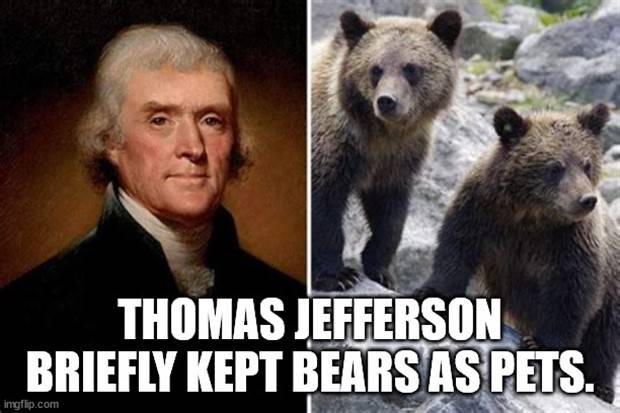 It’s Time for Some Cool and Interesting Facts #340 (43 photos)