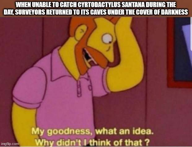 It’s Time for Some Cool and Interesting Facts #340 (43 photos)