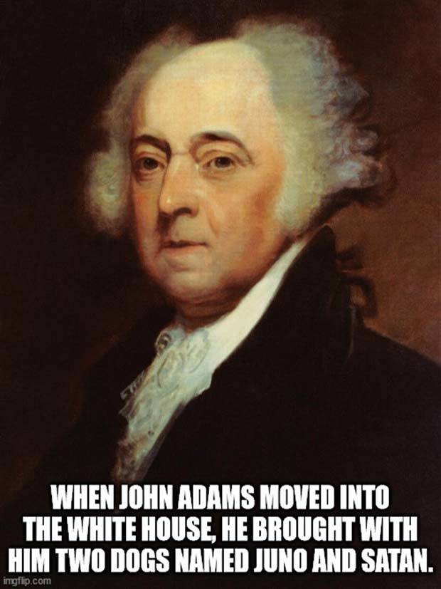 It’s Time for Some Cool and Interesting Facts #340 (43 photos)