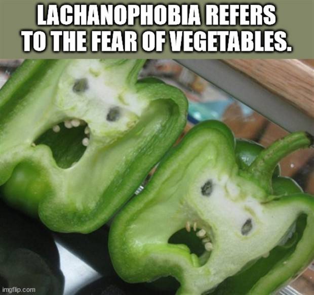 It’s Time for Some Cool and Interesting Facts #340 (43 photos)