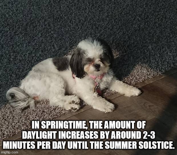 It’s Time for Some Cool and Interesting Facts #340 (43 photos)