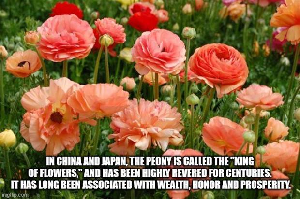 It’s Time for Some Cool and Interesting Facts #340 (43 photos)