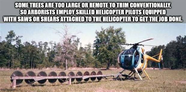 It’s Time for Some Cool and Interesting Facts #340 (43 photos)