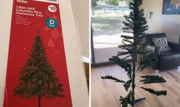 Expectation Vs Reality #53 (34 photos)