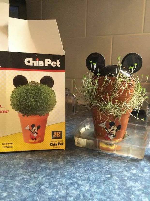 Expectation Vs Reality #53 (34 photos)