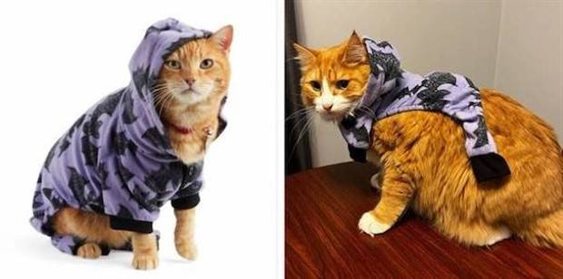 Expectation Vs Reality #53 (34 photos)