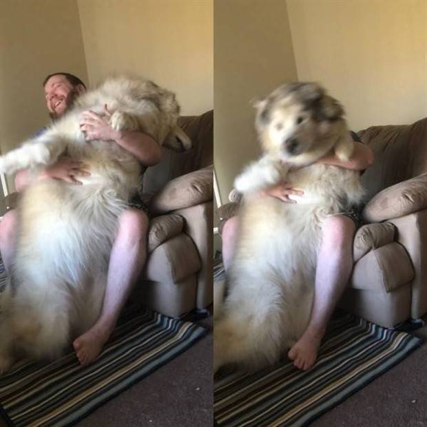 Get Ready for Funny Animals #295 (36 photos)