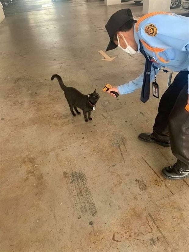 Get Ready for Funny Animals #295 (36 photos)