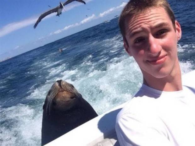 Get Ready for Funny Animals #295 (36 photos)