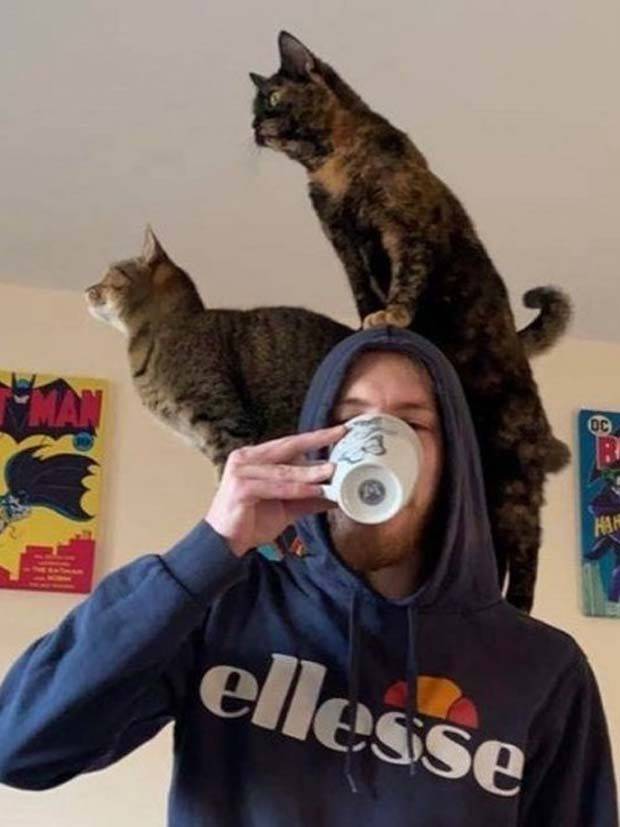 Get Ready for Funny Animals #295 (36 photos)