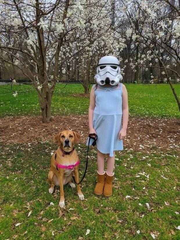 Get Ready for Funny Animals #295 (36 photos)