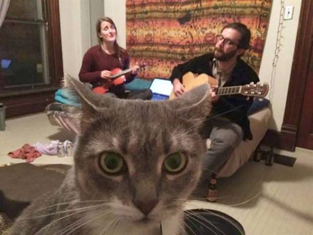 Get Ready for Funny Animals #296 (43 photos)