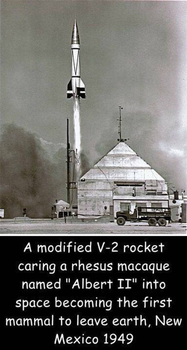 Interesting Pictures With Captions #64 (43 photos)