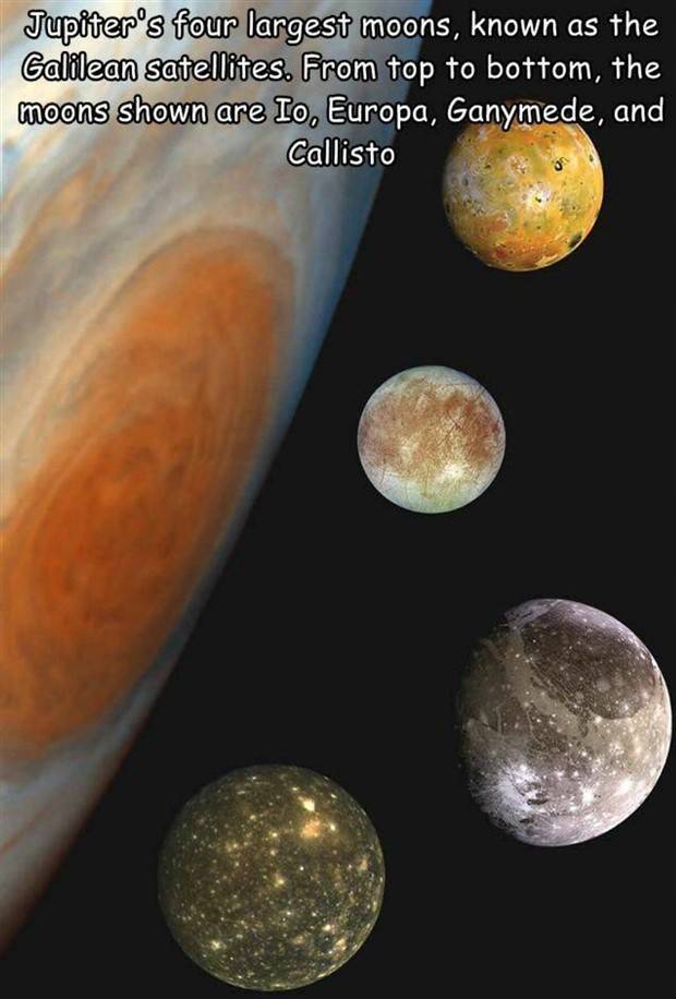 Interesting Pictures With Captions #64 (43 photos)