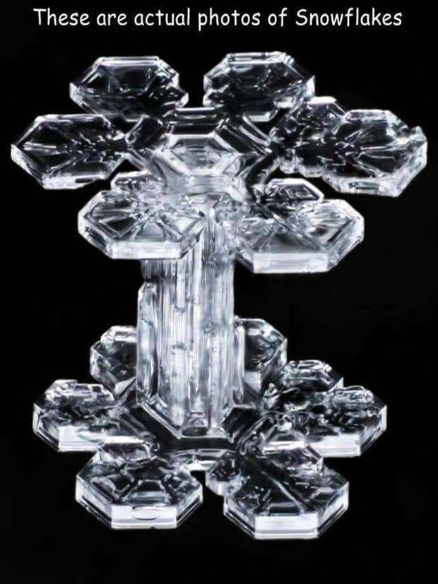 Interesting Pictures With Captions #64 (43 photos)