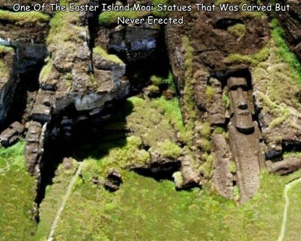 Interesting Pictures With Captions #64 (43 photos)