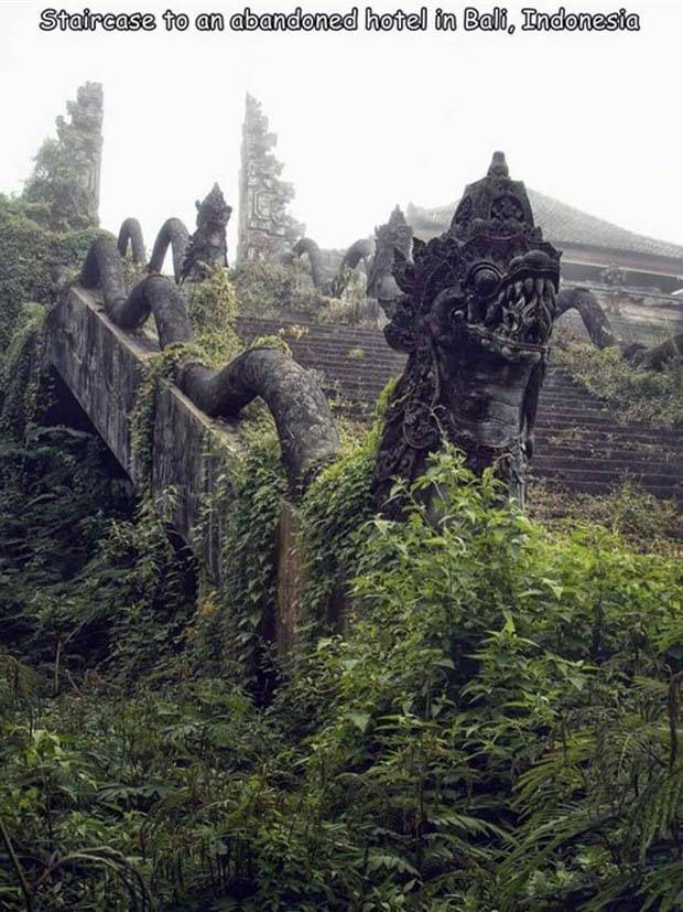 Interesting Pictures With Captions #64 (43 photos)