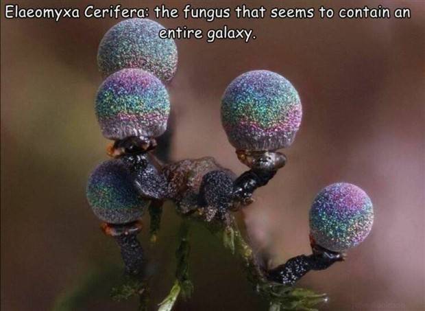 Interesting Pictures With Captions #64 (43 photos)