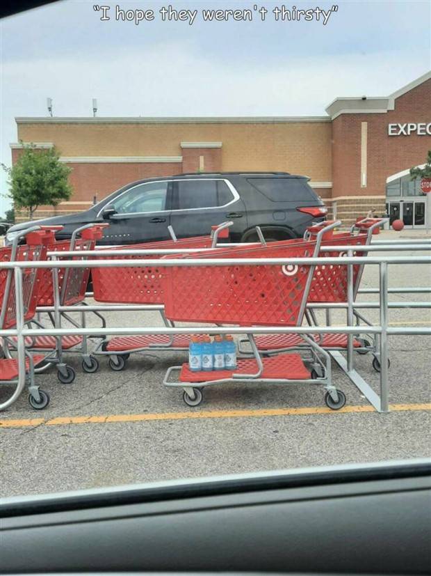 Interesting Pictures With Captions #64 (43 photos)