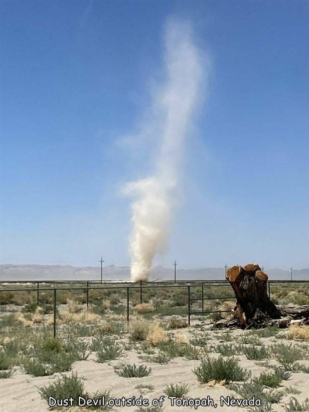 Interesting Pictures With Captions #64 (43 photos)