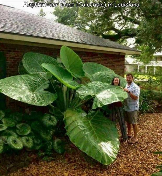 Interesting Pictures With Captions #64 (43 photos)