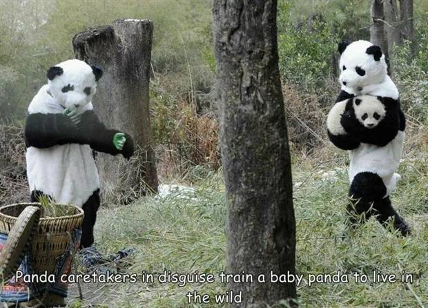 Interesting Pictures With Captions #64 (43 photos)