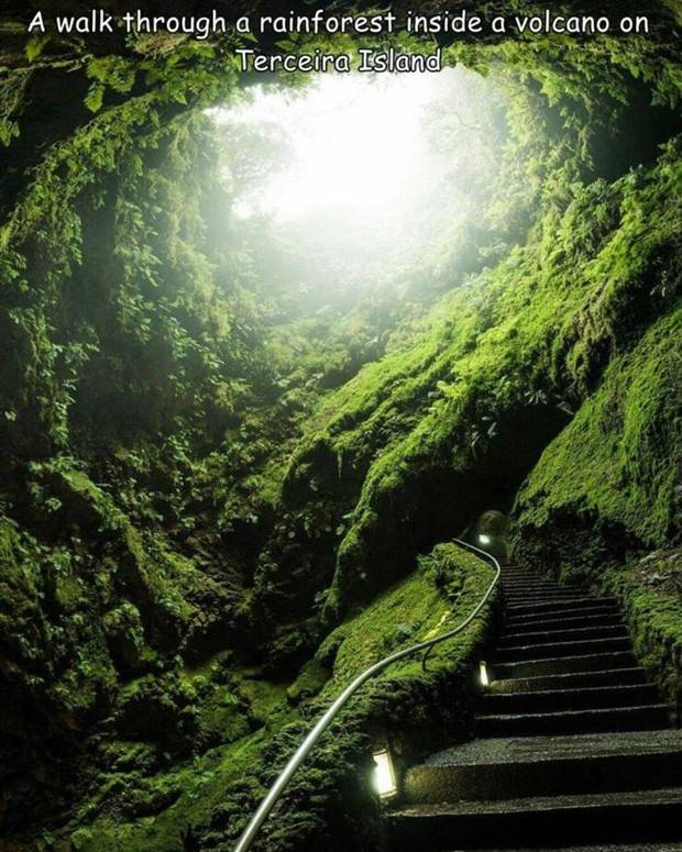 Interesting Pictures With Captions #64 (43 photos)