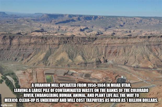 interesting trivia facts 24 It’s Time for Some Cool and Interesting Facts #339 (39 photos)