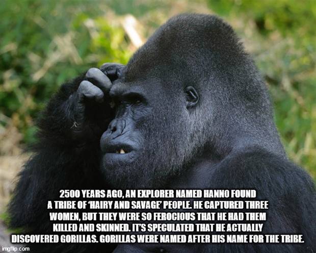 interesting trivia facts 27 It’s Time for Some Cool and Interesting Facts #339 (39 photos)