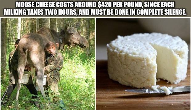 It’s Time for Some Cool and Interesting Facts #339 (39 photos)