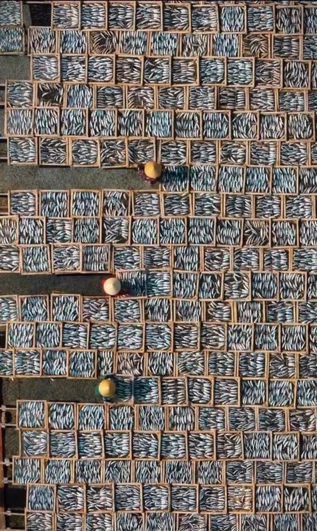 klyker picdump 8 1 2023 10 Klyker Picdump #1257 (52 photos)