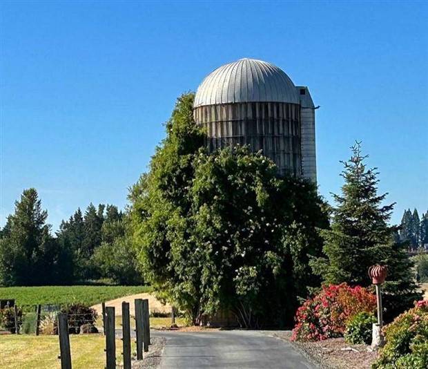 klyker picdump 8 1 2023 35 Klyker Picdump #1257 (52 photos)