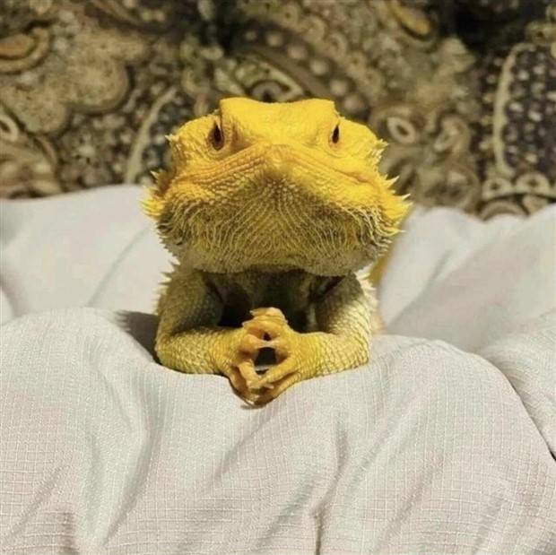 Klyker Picdump #1264 (54 photos)