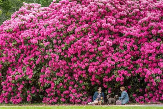 Klyker Picdump #1264 (54 photos)