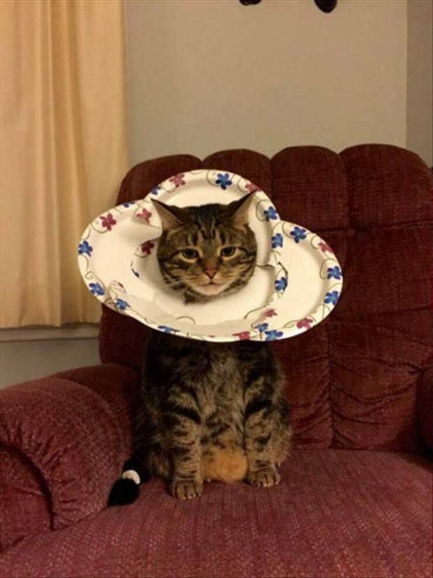 Klyker Picdump #1264 (54 photos)