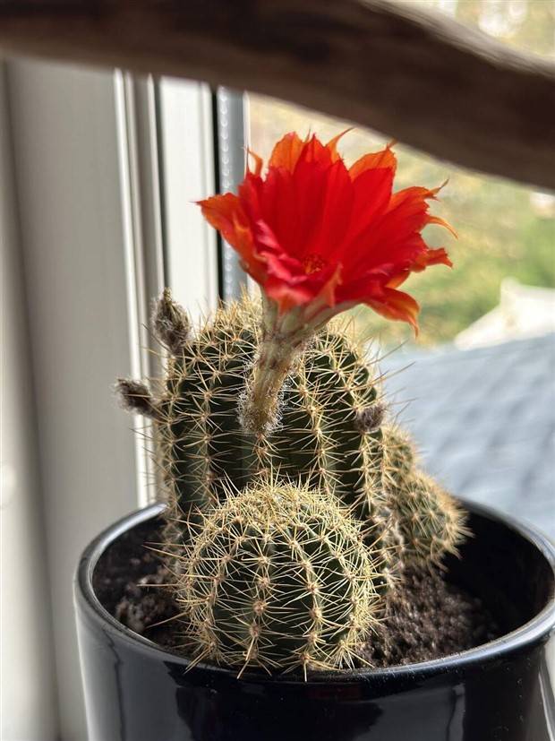 Klyker Picdump #1270 (55 photos)