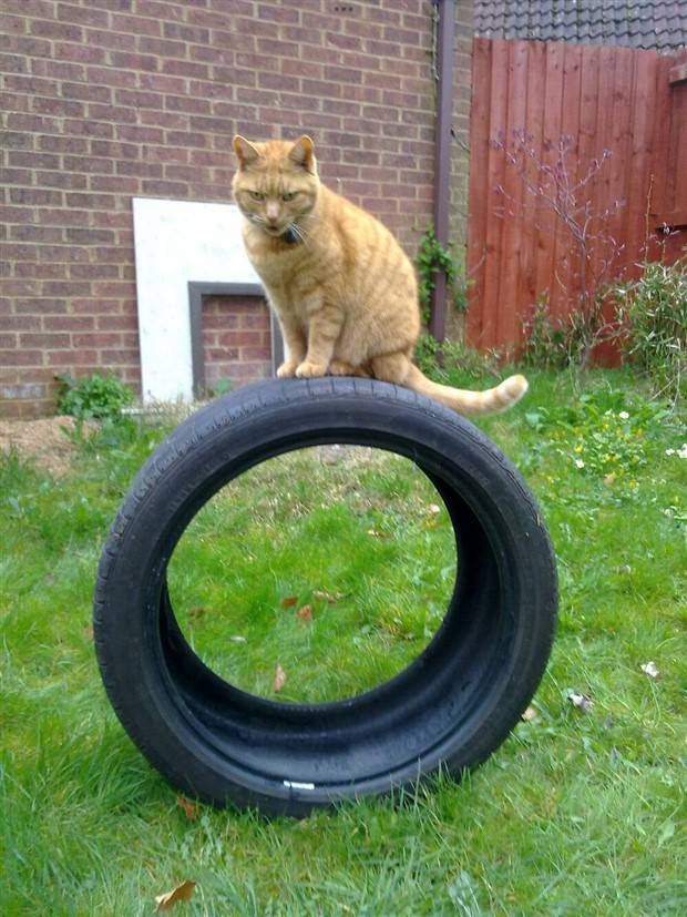 Klyker Picdump #1270 (55 photos)