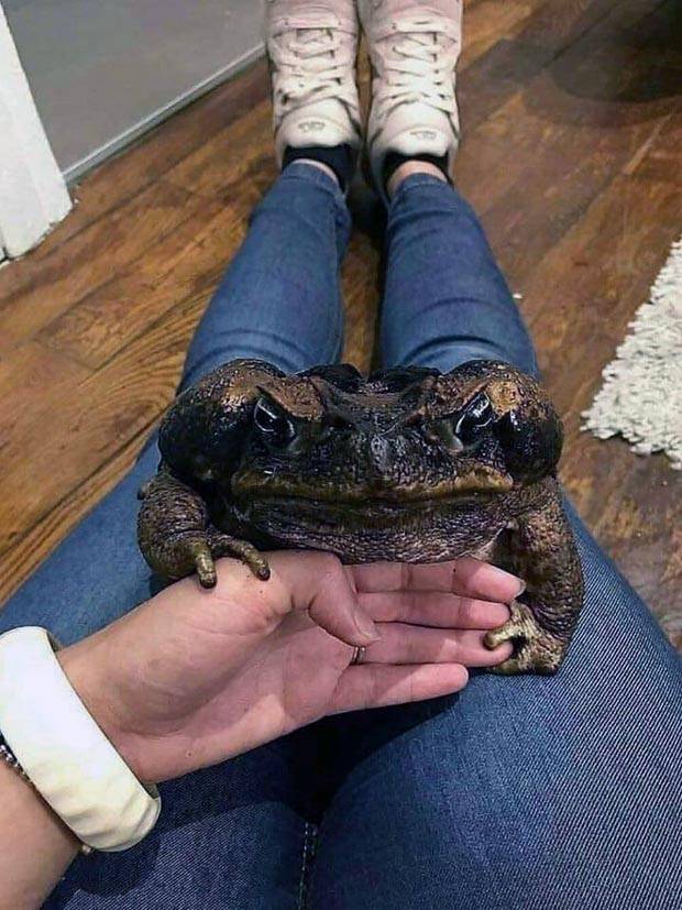 Klyker Picdump #1270 (55 photos)