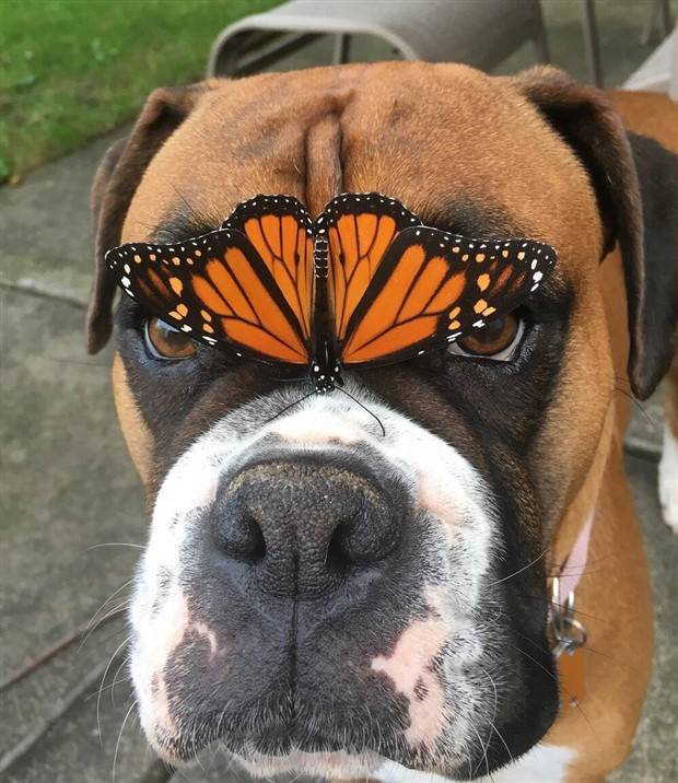 Klyker Picdump #1270 (55 photos)