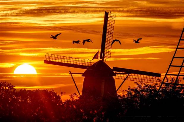 Klyker Picdump #1270 (55 photos)