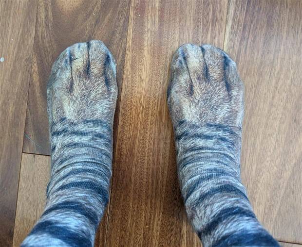 Klyker Picdump #1270 (55 photos)