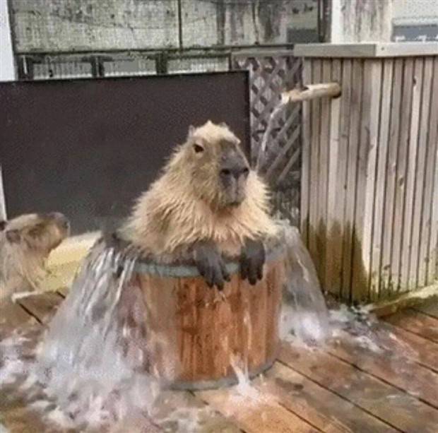 Klyker Picdump #1270 (55 photos)